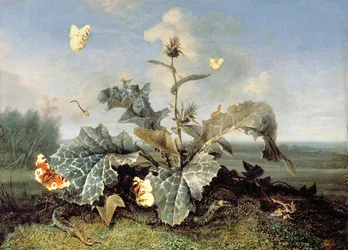 Le buisson de bardane